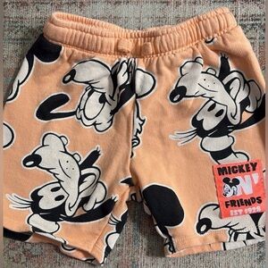 Zara Disney Shorts
